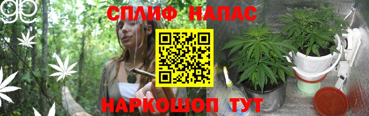 МАРИХУАНА гибрид Карталы